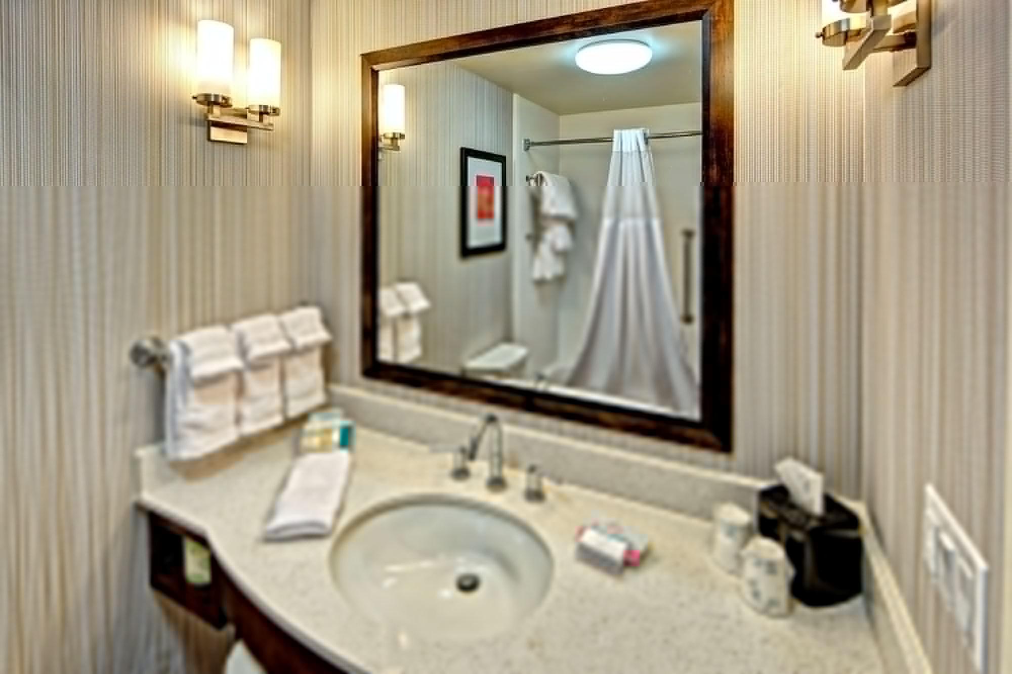 Hilton Garden Memphis/wolfchase Galleria